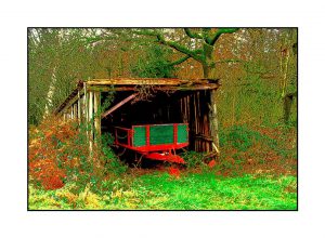 Konrad Hamacher Photographie
